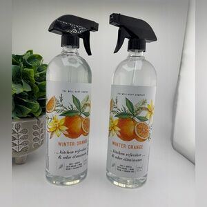 (2-Pack) WELL KEPT CO - Kitchen Odor Deodorizer Cleaner WINTER ORANGE